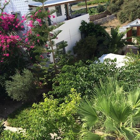 Patmos Villas Grikos Bay  ห้อง รูปภาพ