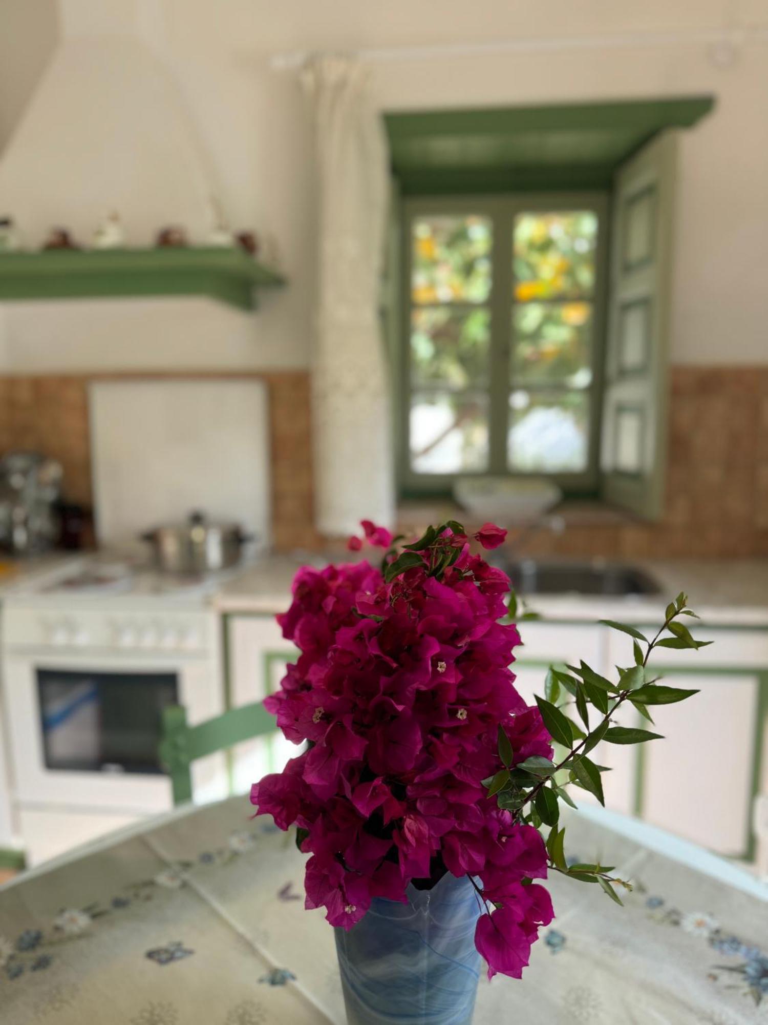 Patmos Villas Grikos Bay  ภายนอก รูปภาพ