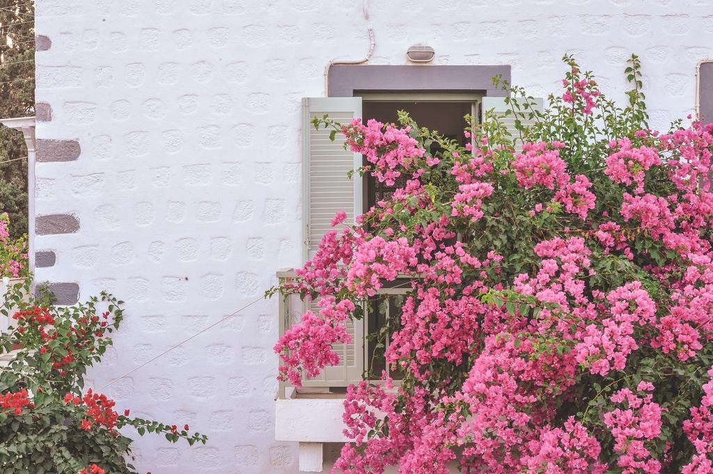 Patmos Villas Grikos Bay  ภายนอก รูปภาพ